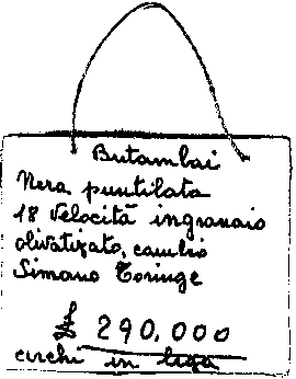 mtb_low.gif (3582 byte)
