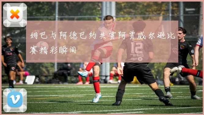 姆巴与阿德巴约共赏阿贾威尔逊比赛精彩瞬间