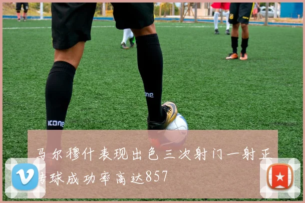 马尔穆什表现出色三次射门一射正传球成功率高达857